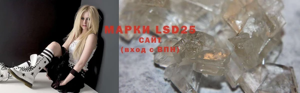 ГАЛЛЮЦИНОГЕННЫЕ ГРИБЫ Михайлов