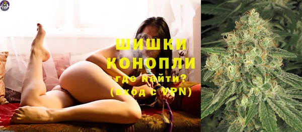 ГАЛЛЮЦИНОГЕННЫЕ ГРИБЫ Михайлов