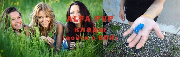 ГАЛЛЮЦИНОГЕННЫЕ ГРИБЫ Михайлов