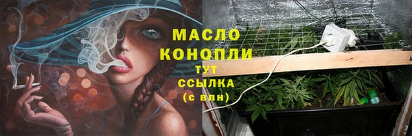 ГАЛЛЮЦИНОГЕННЫЕ ГРИБЫ Михайлов