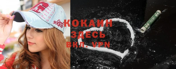 ГАЛЛЮЦИНОГЕННЫЕ ГРИБЫ Михайлов