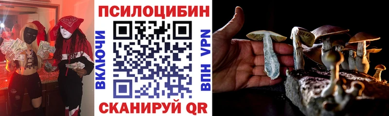 мега маркетплейс  наркотики  Новотроицк  Галлюциногенные грибы Cubensis 